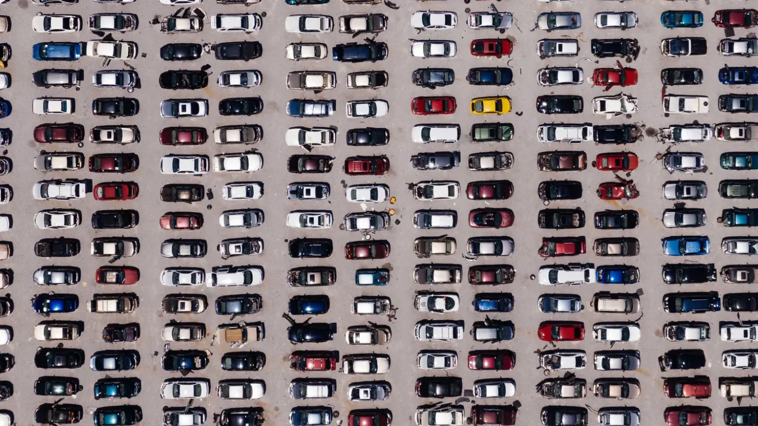 Viele Autos auf dem Parkplatz von Versicherungsmakler Mitlmeier
