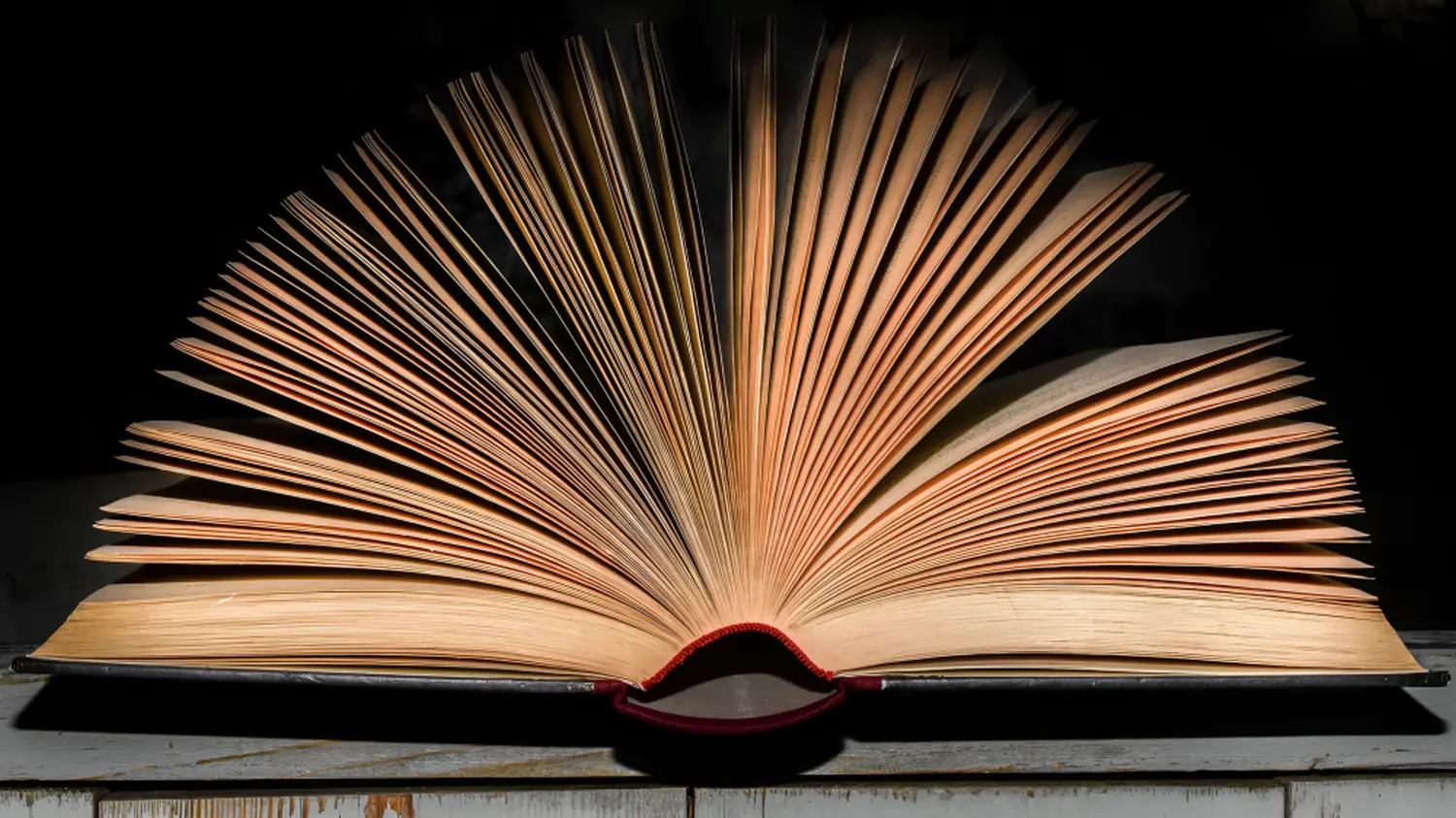 Ein offenes Buch von Versicherungsmakler Mitlmeier